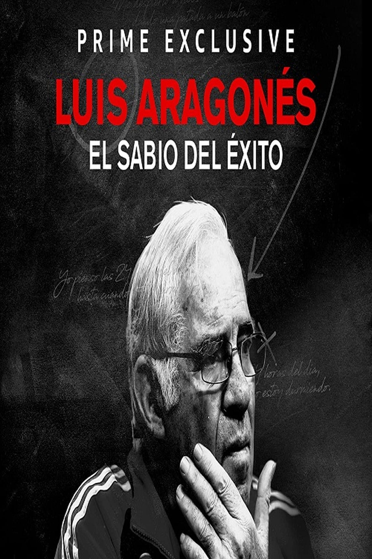 Series Luis, el sabio del éxito