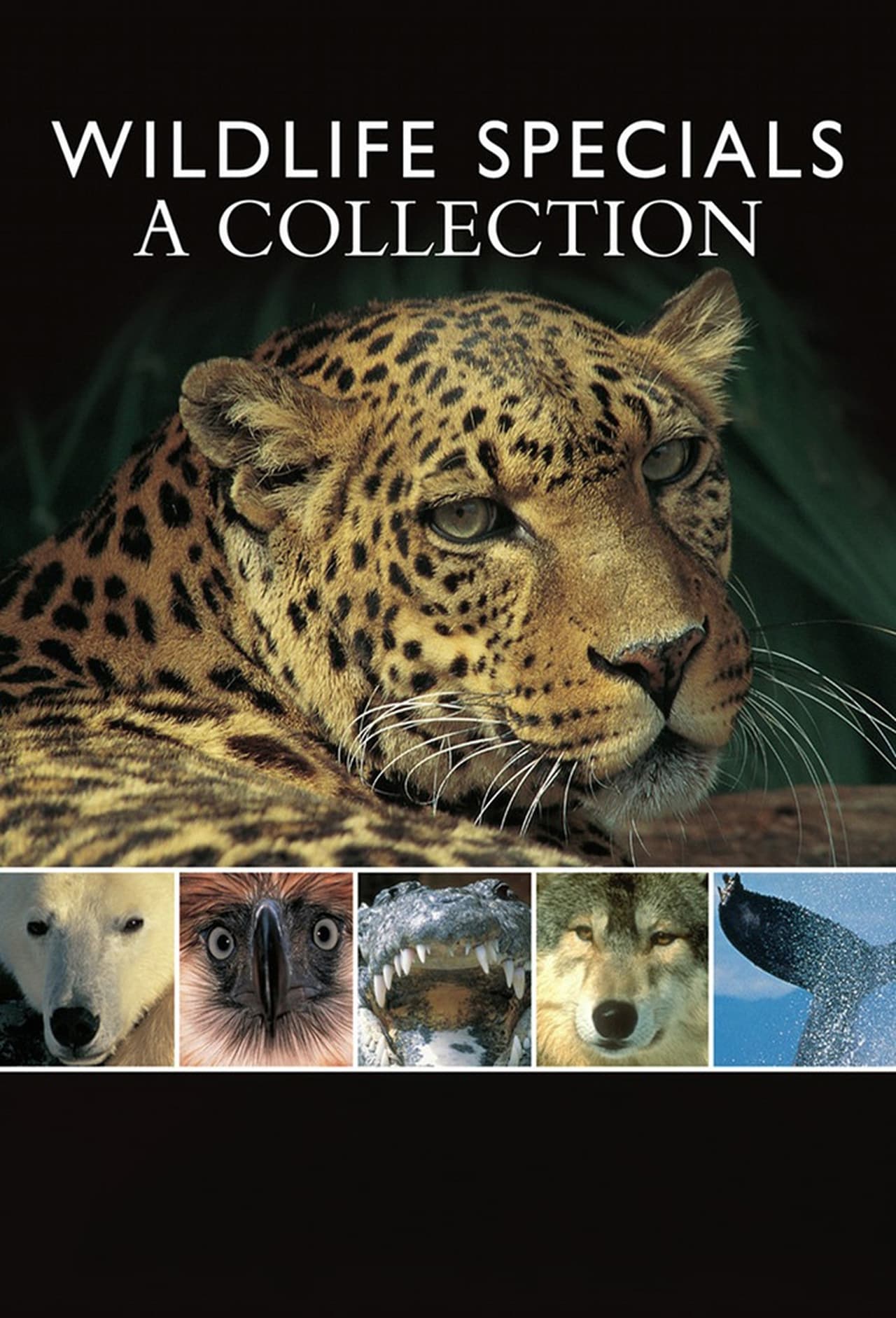 Serie Wildlife Specials