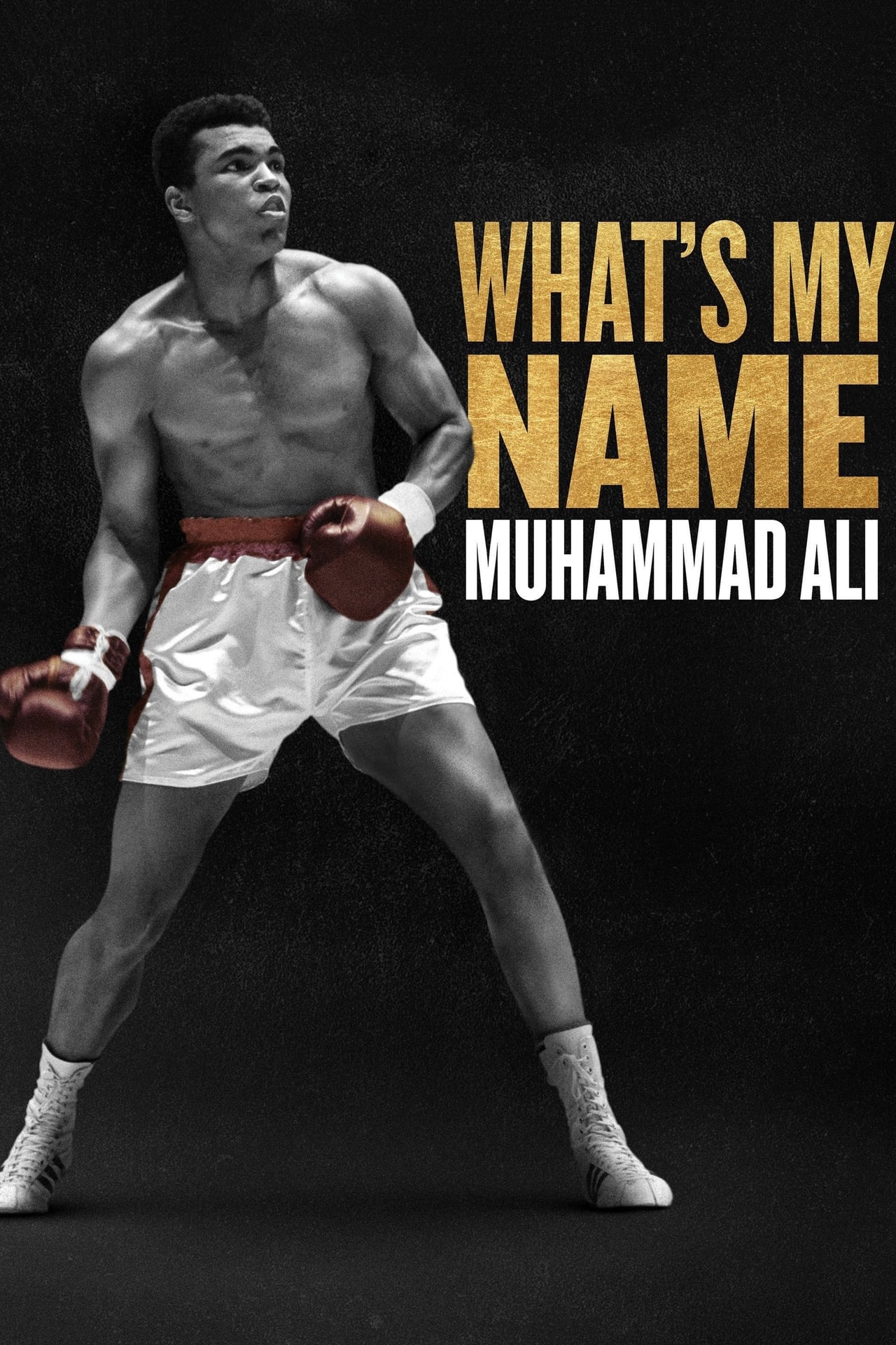 Serie Me llamo Muhammad Ali