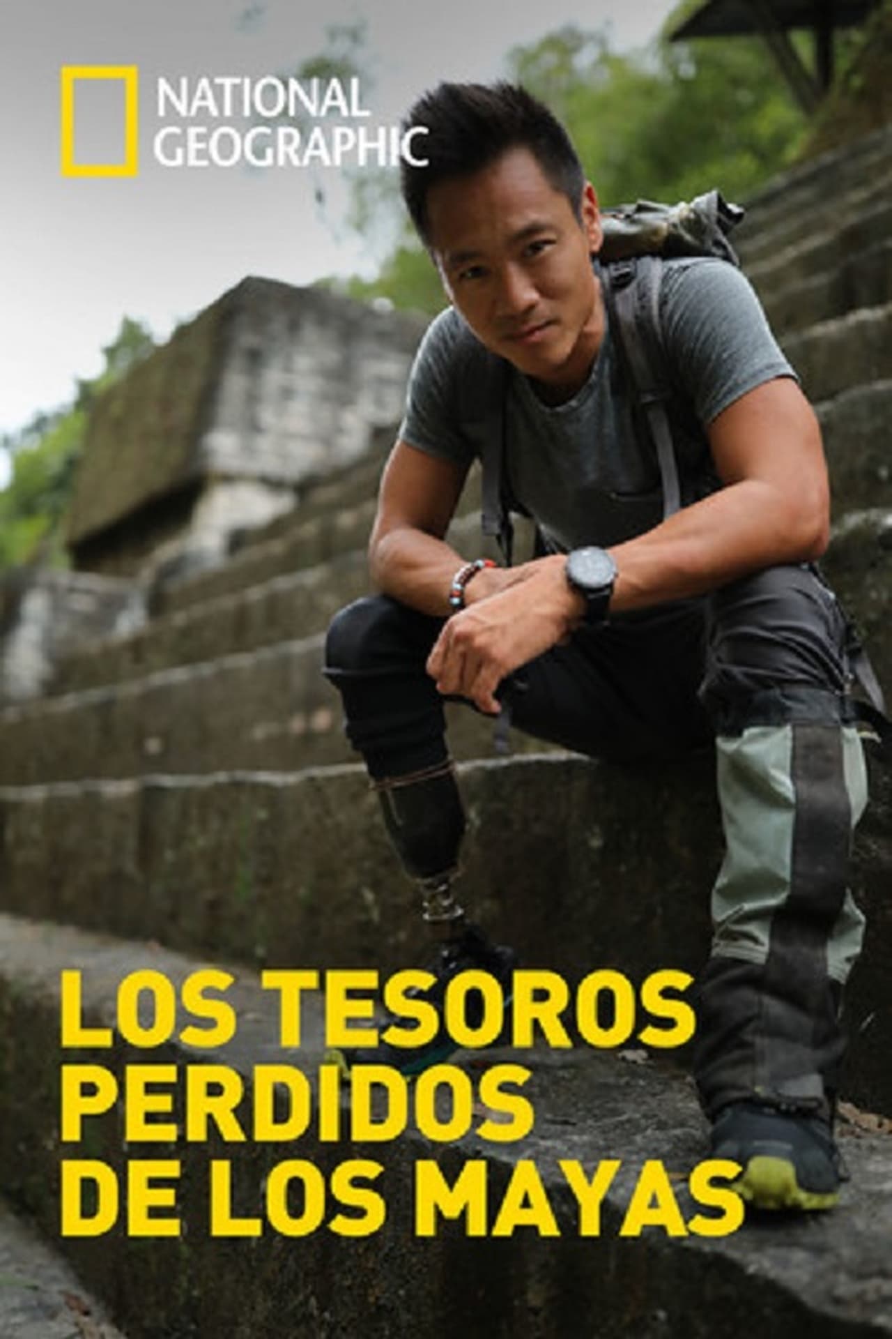 Series Los tesoros perdidos de los Mayas