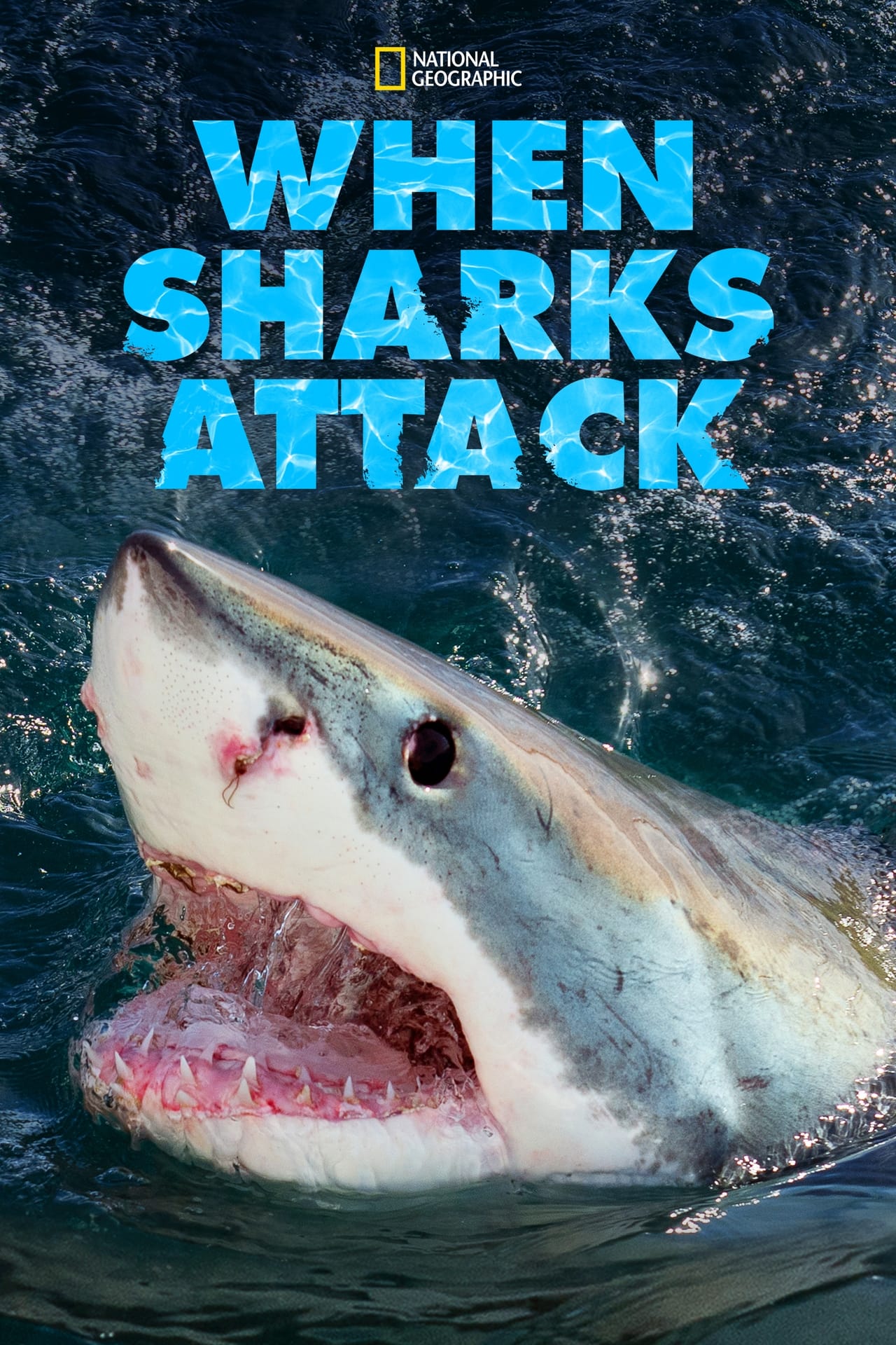 Serie When Sharks Attack