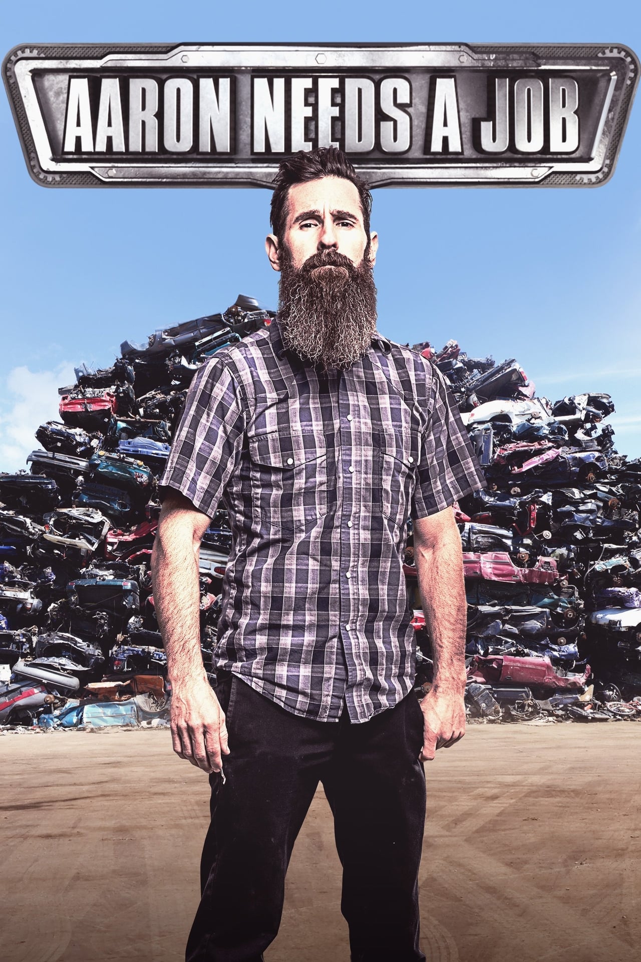 Serie Aaron Kaufman busca trabajo