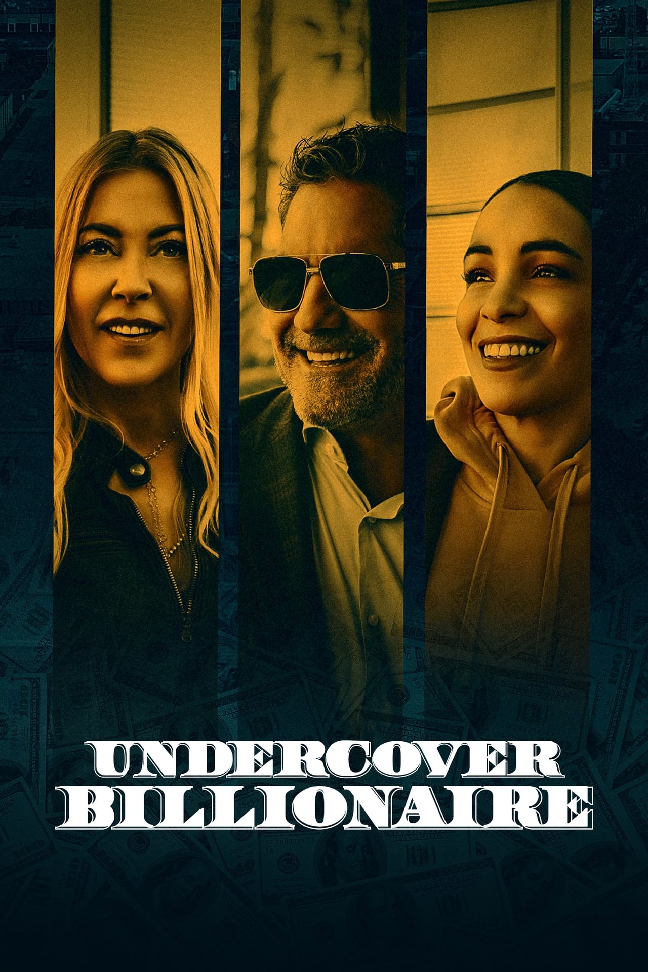 Serie Undercover Billionaire