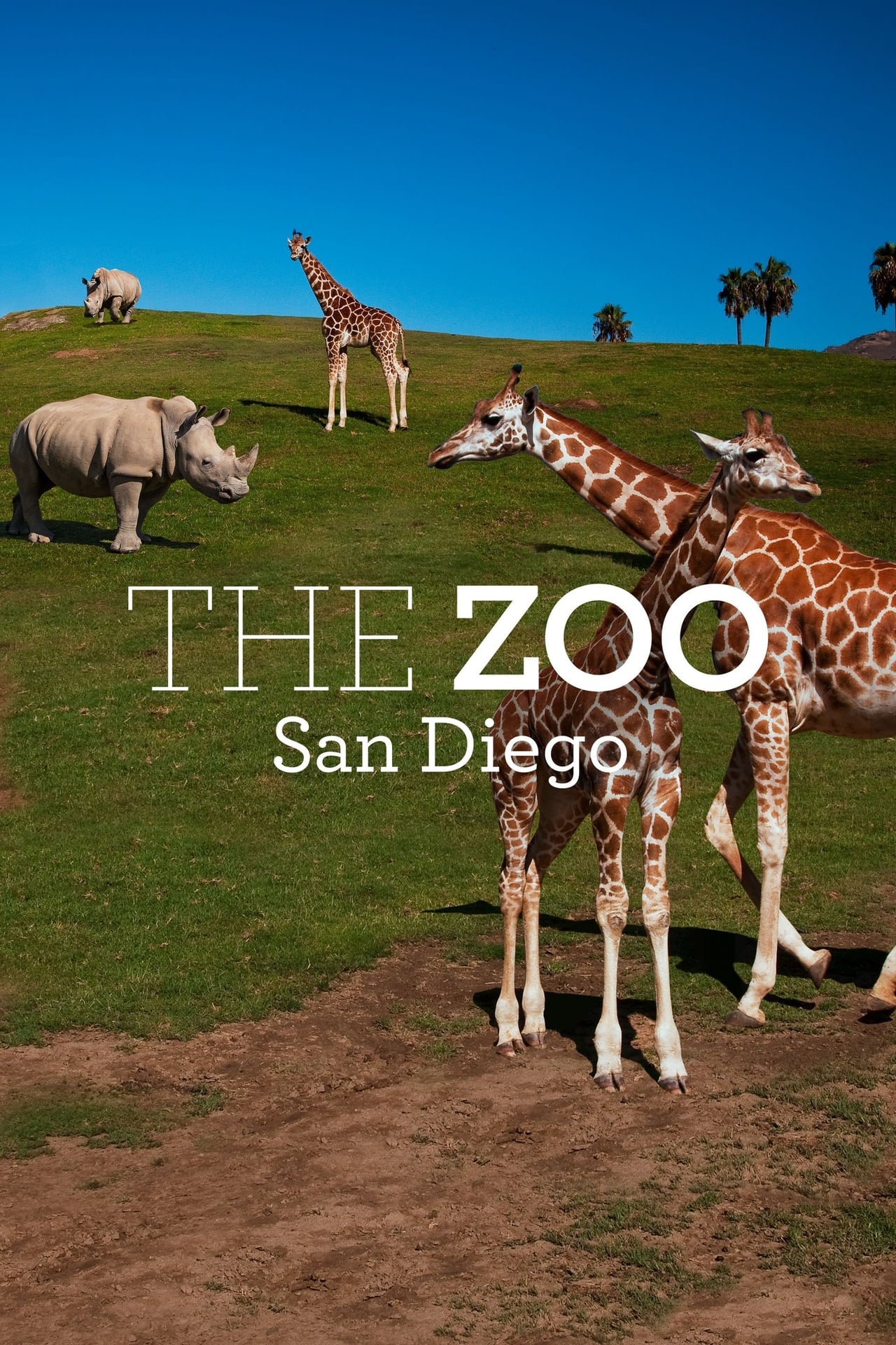 Serie The Zoo: San Diego