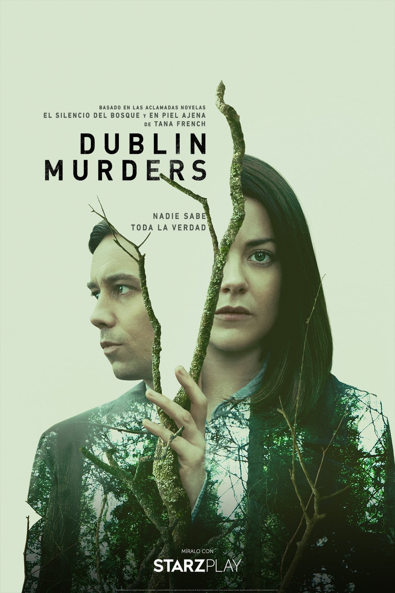 Series Dublin Murders