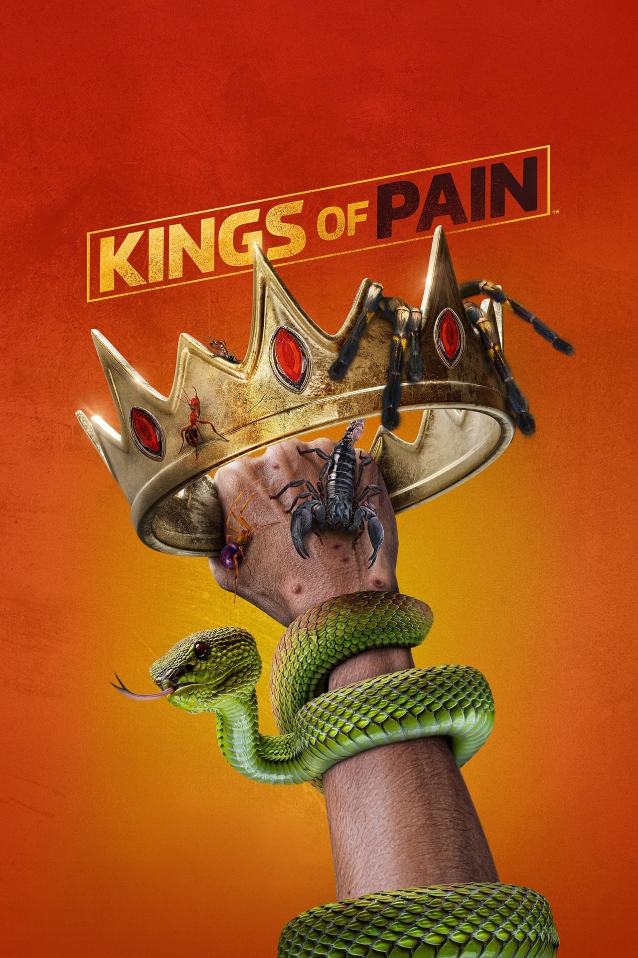 Series Kings of Pain