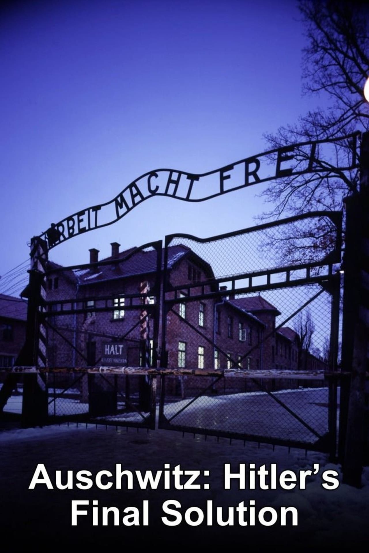 Series Auschwitz: Hitler's Final Solution