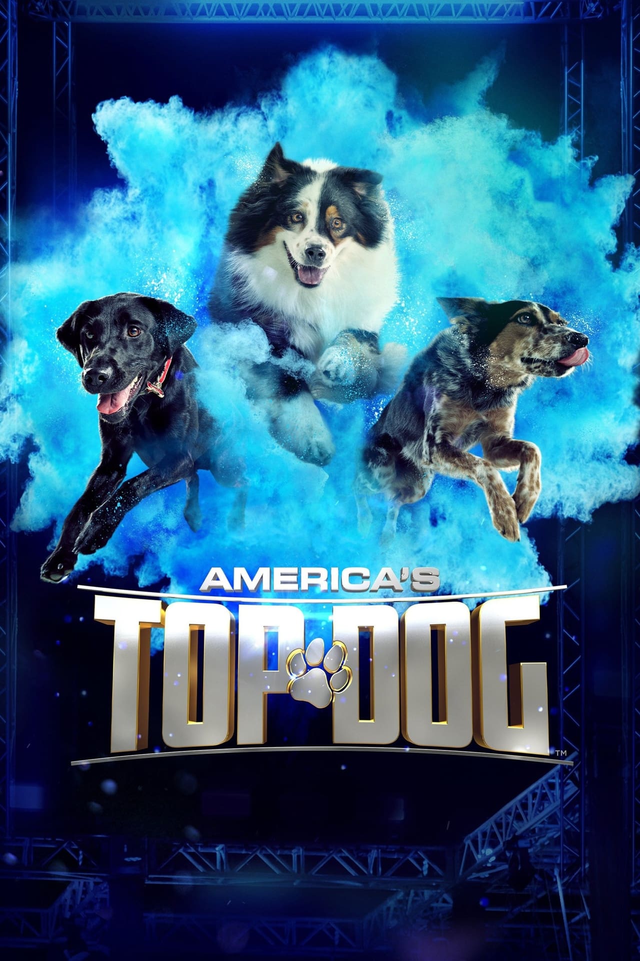 Serie America's Top Dog