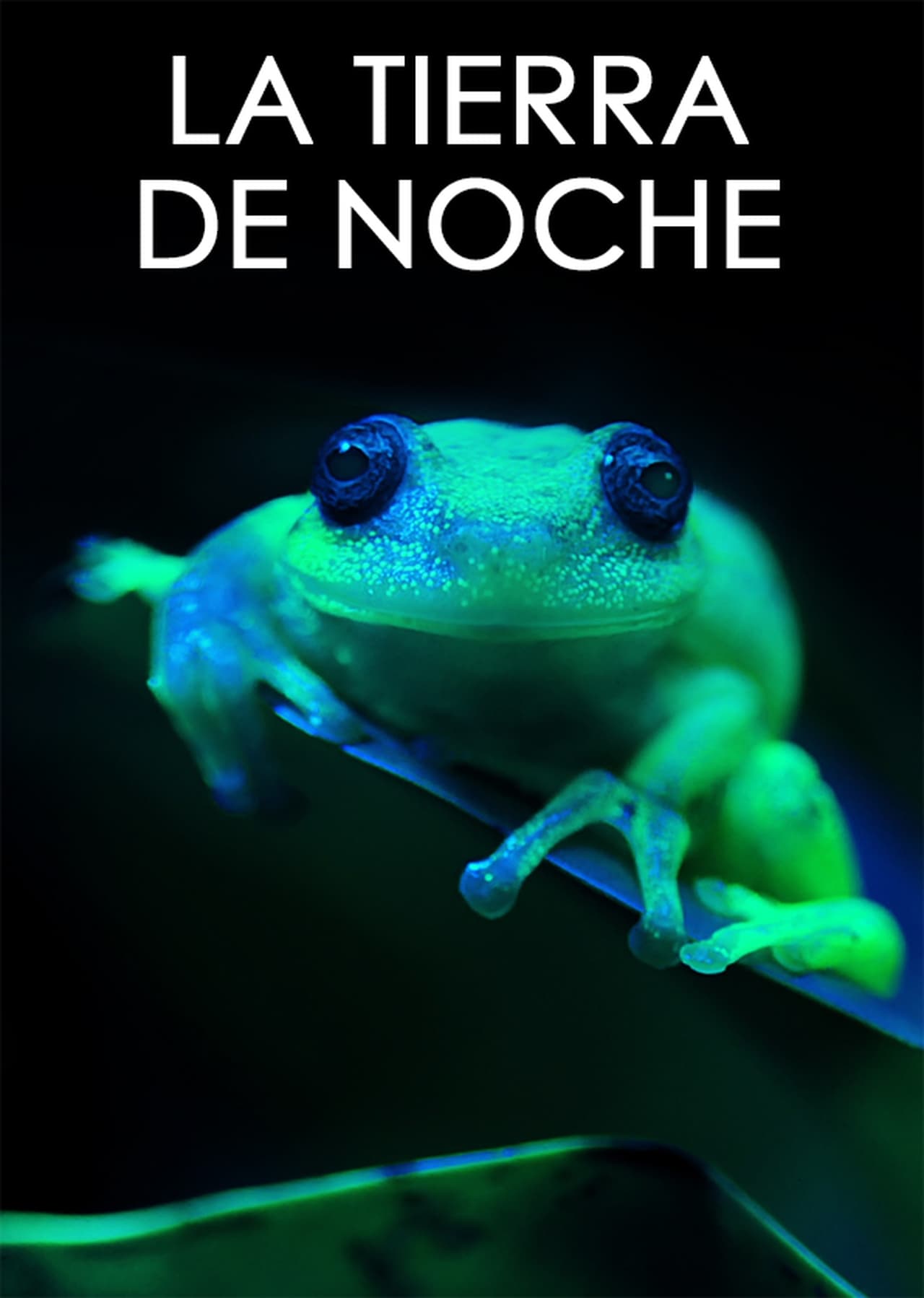 Serie La Tierra de noche