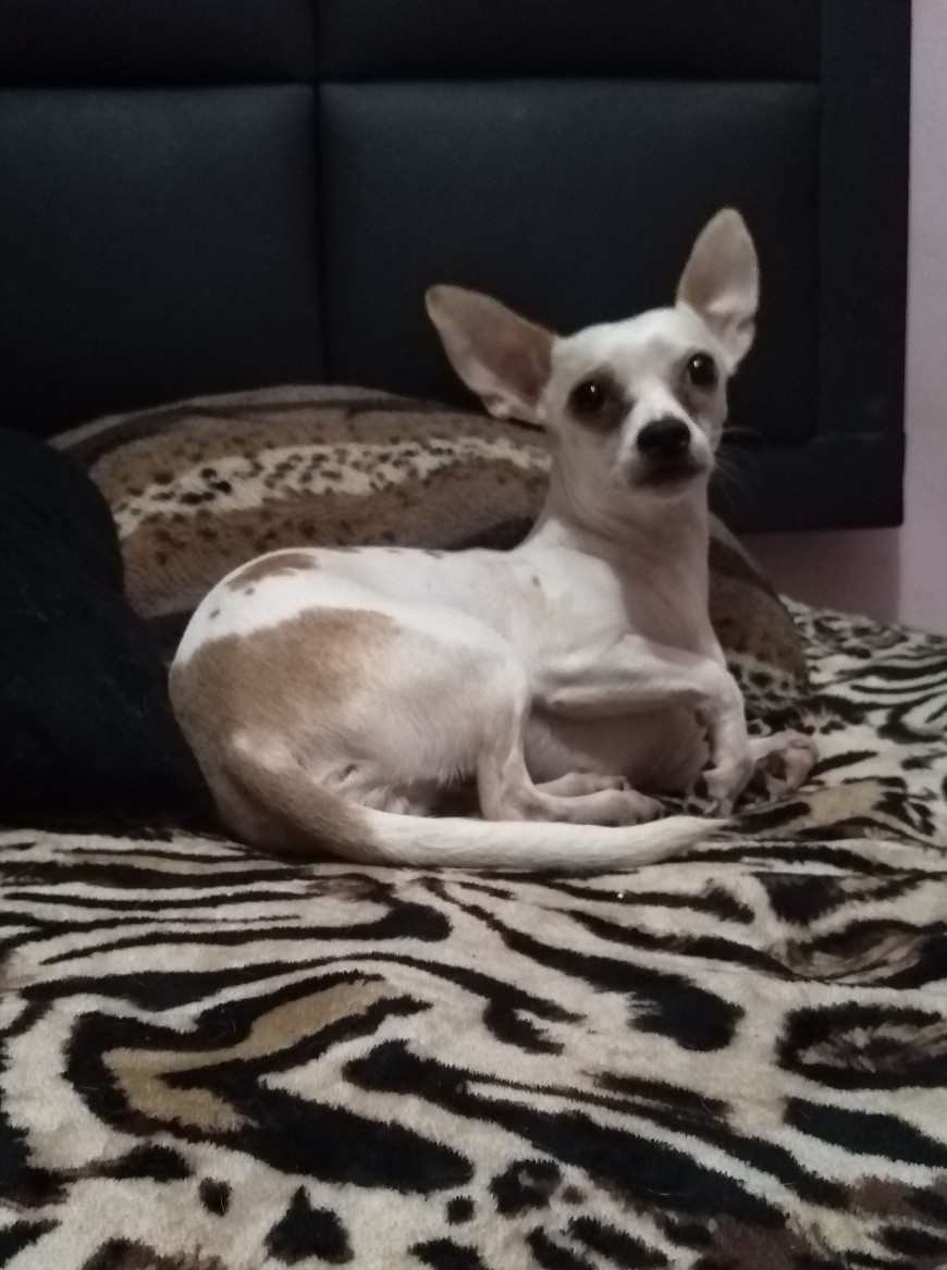 sammy1234