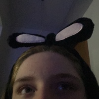 @ebaiees