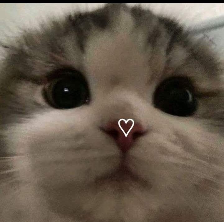 @AnaS2clara