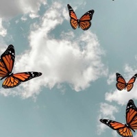 wallpaper_l