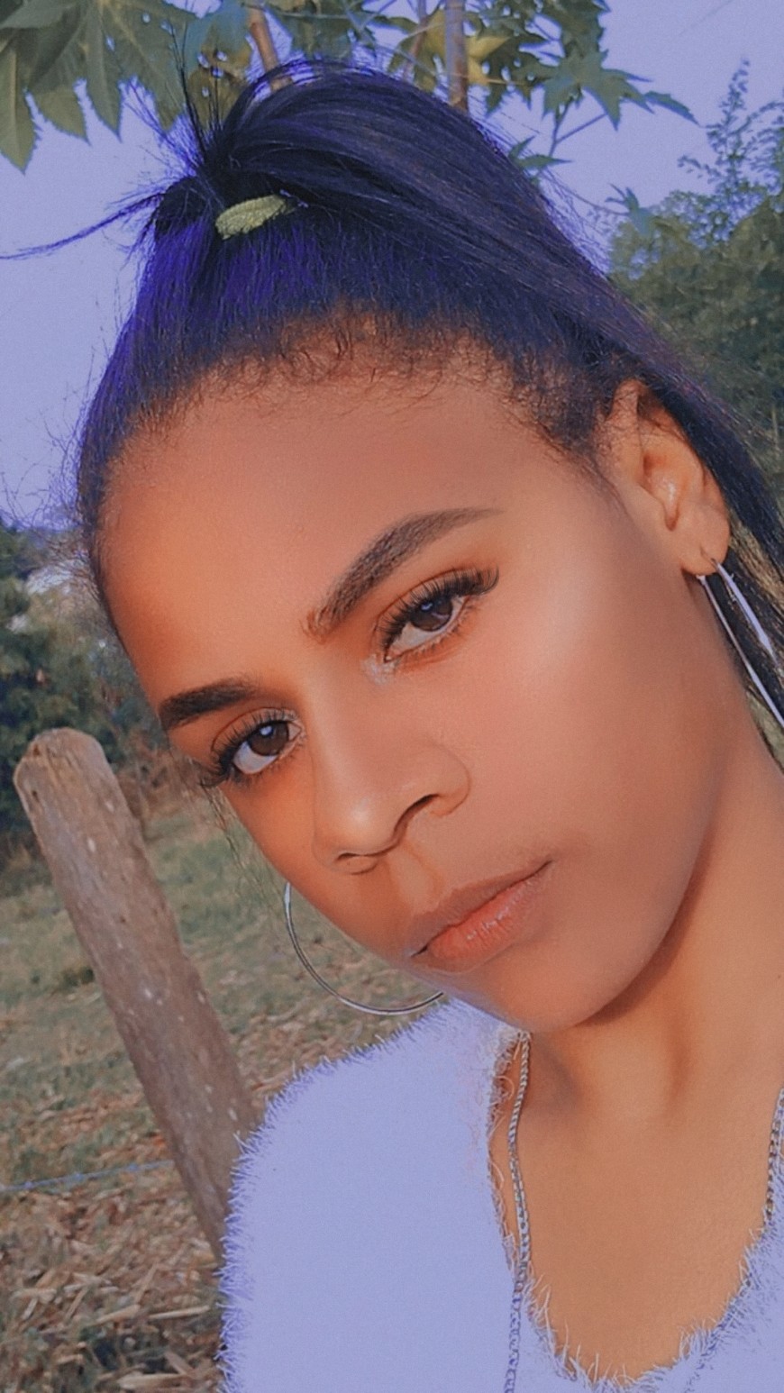 vihcampos