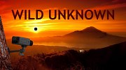 Wild Unknown