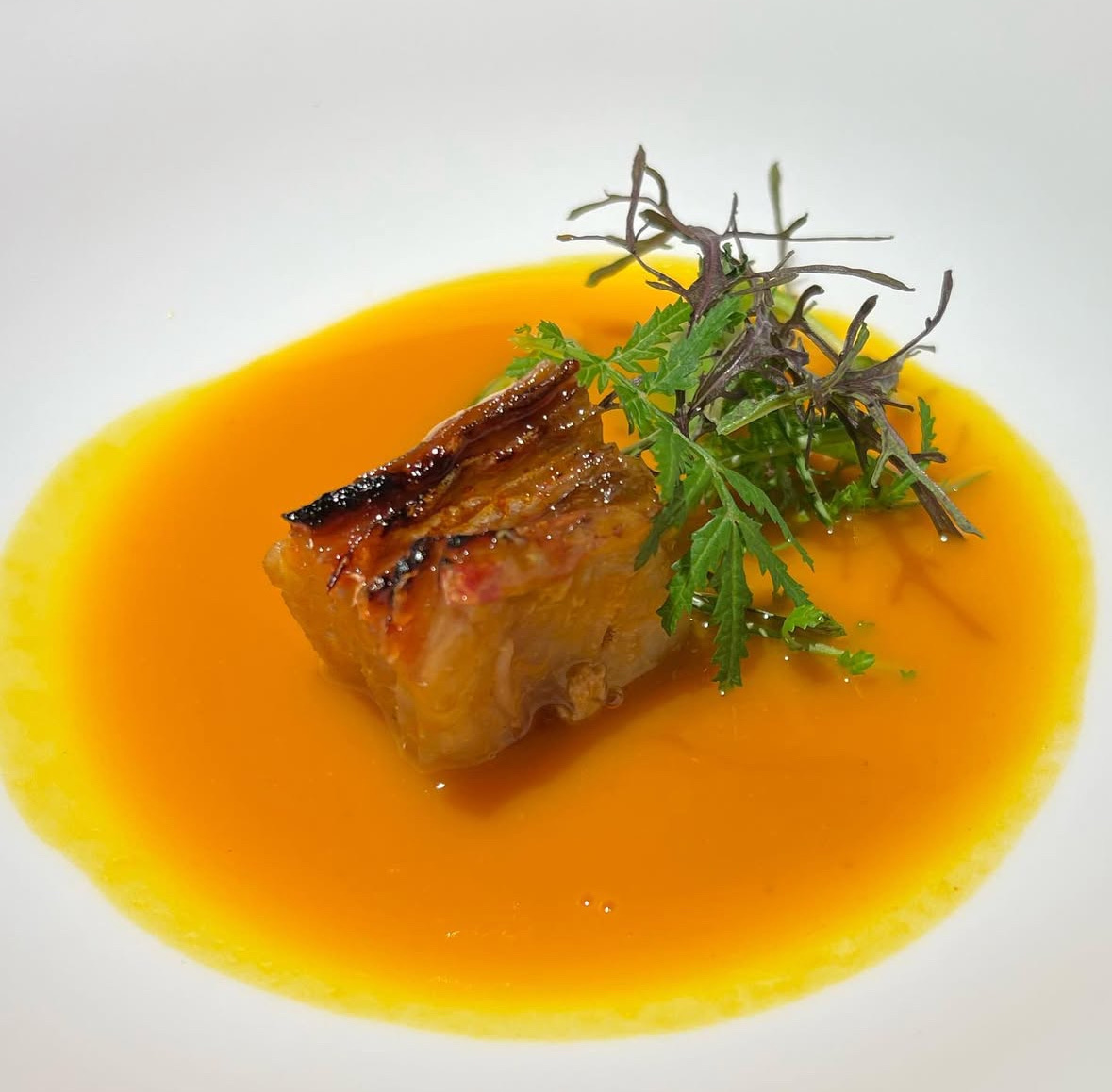 Restaurants Koy Shunka