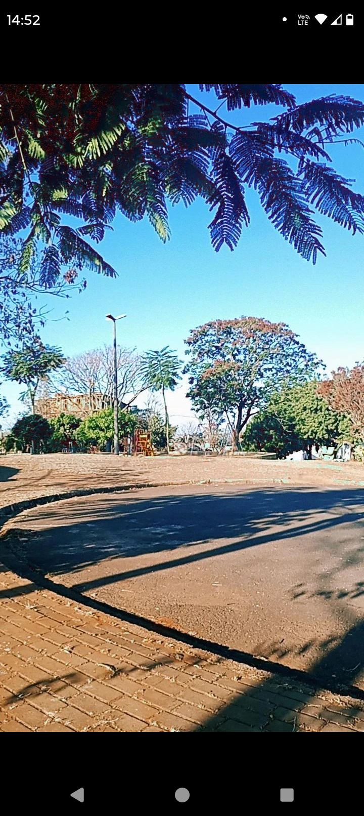 Social Paisagem 