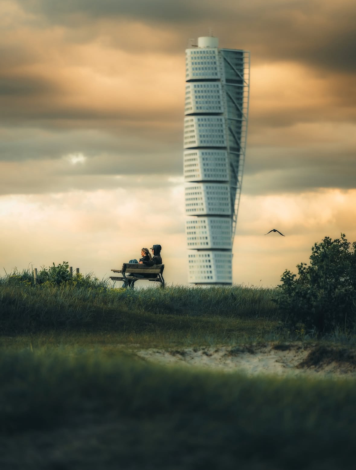 Social Turning Torso