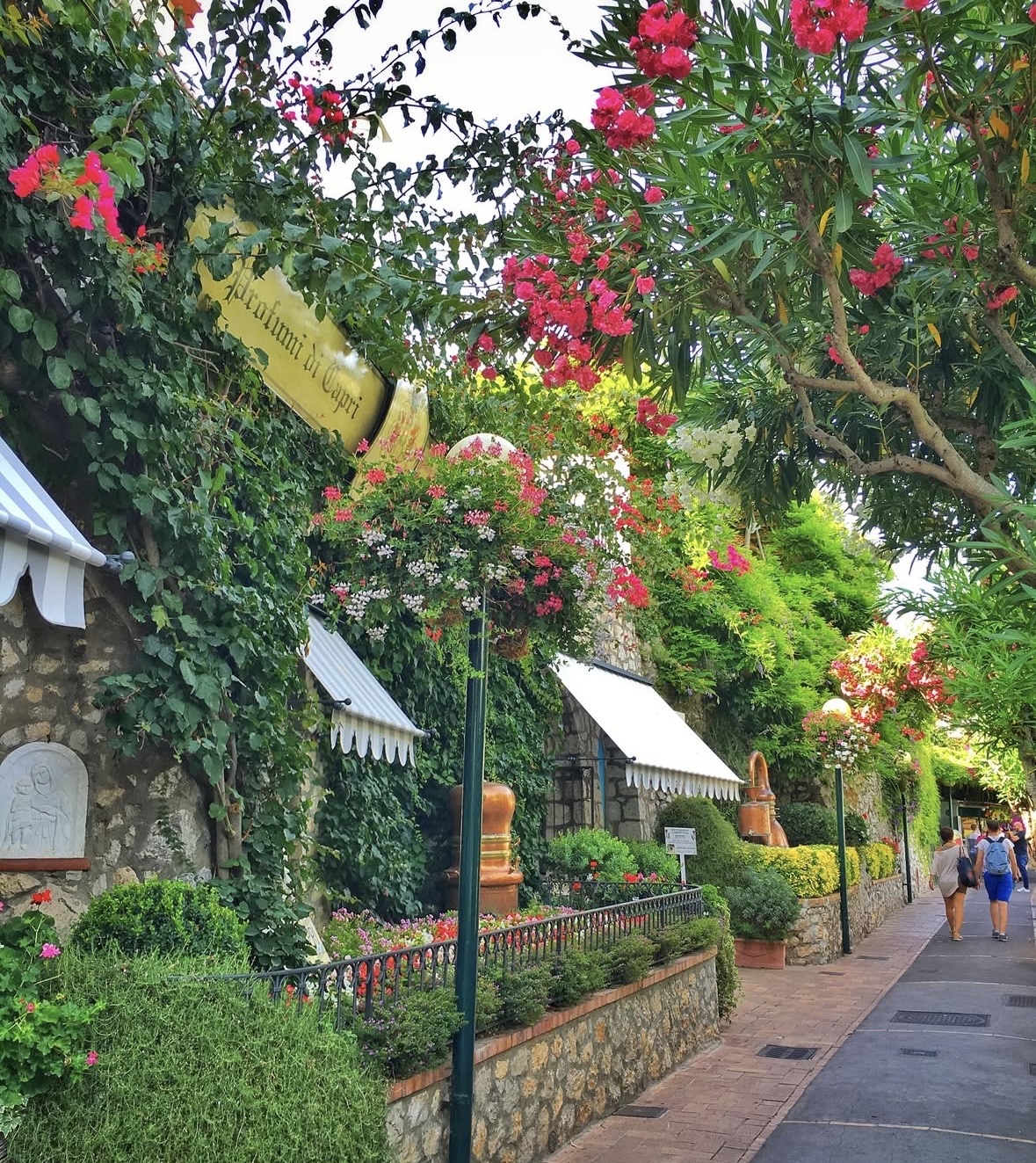 Social Jardines de Augustus