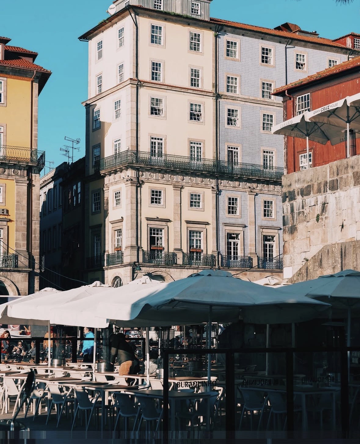 Social Bodegas y vino de Oporto