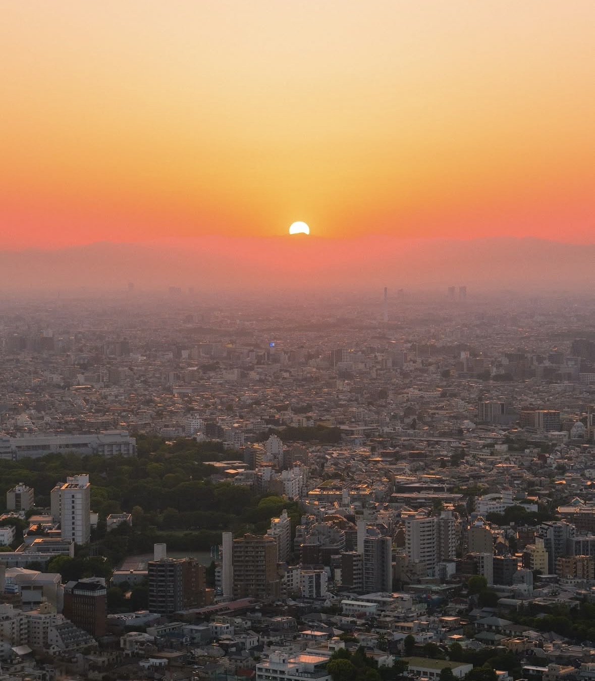 Social Tokyo Tower al Amanecer