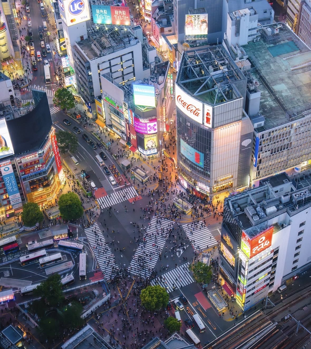 Social Neones y Noche en Shinjuku