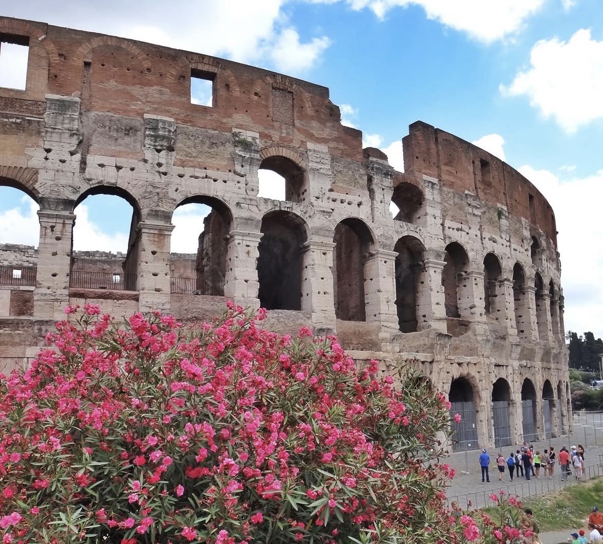 Social Amanecer Rosa 