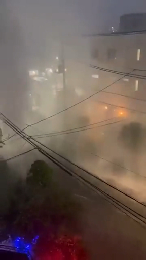 Tokyo, Japon