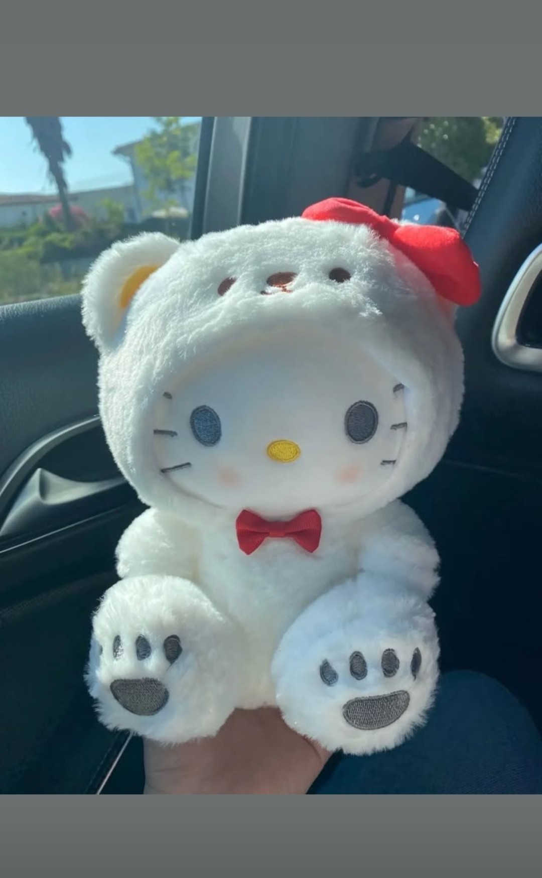 Social 🧸 Bichinho de pelúcia  hello Kitty
